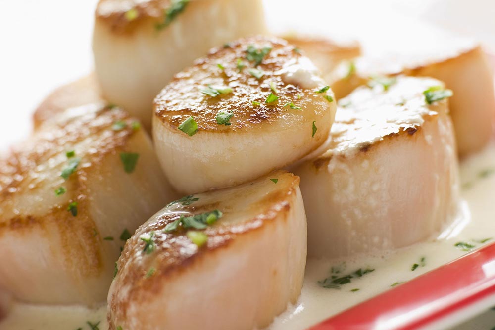 Scallops Wanchese Fish Company